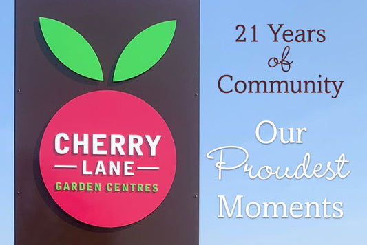 21 Years of Community - Our Proudest Moments