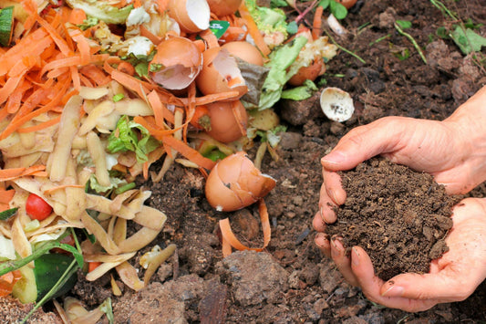 Hands cupping compost above a pile of food waste