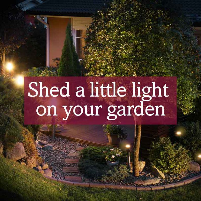 Shed A Little Light on Your Garden