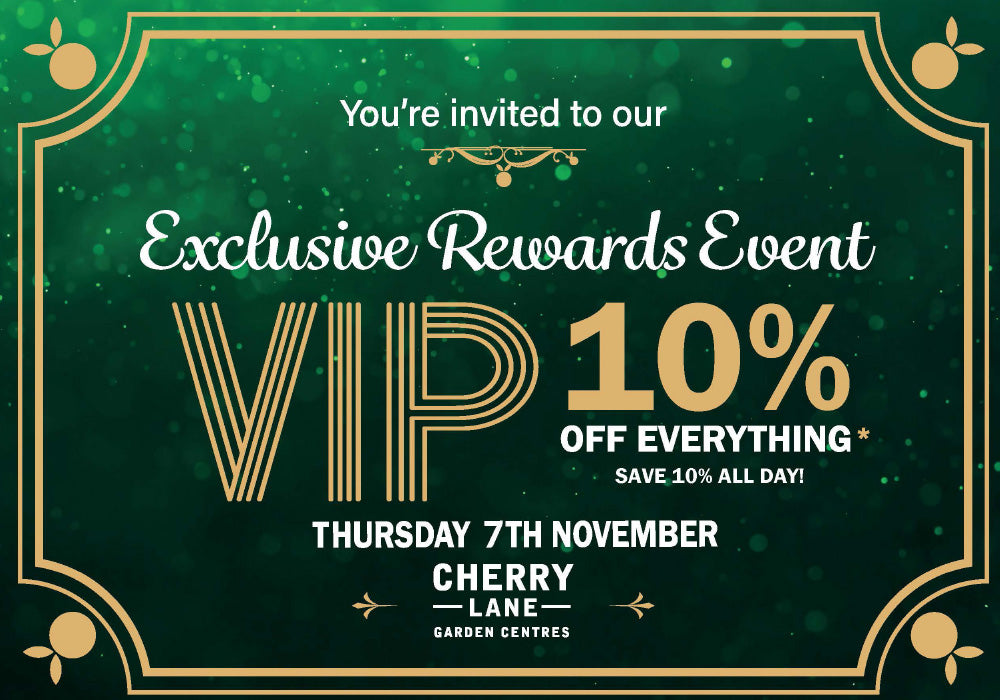 10% Off Everything* all day on Thursday 7th November!