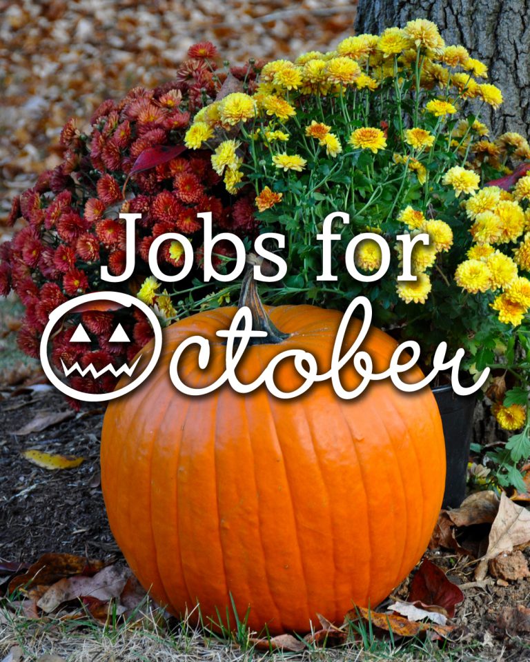 Garden Jobs for October