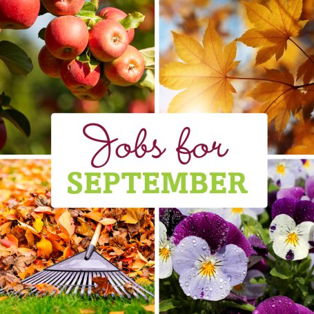 Garden Jobs for September