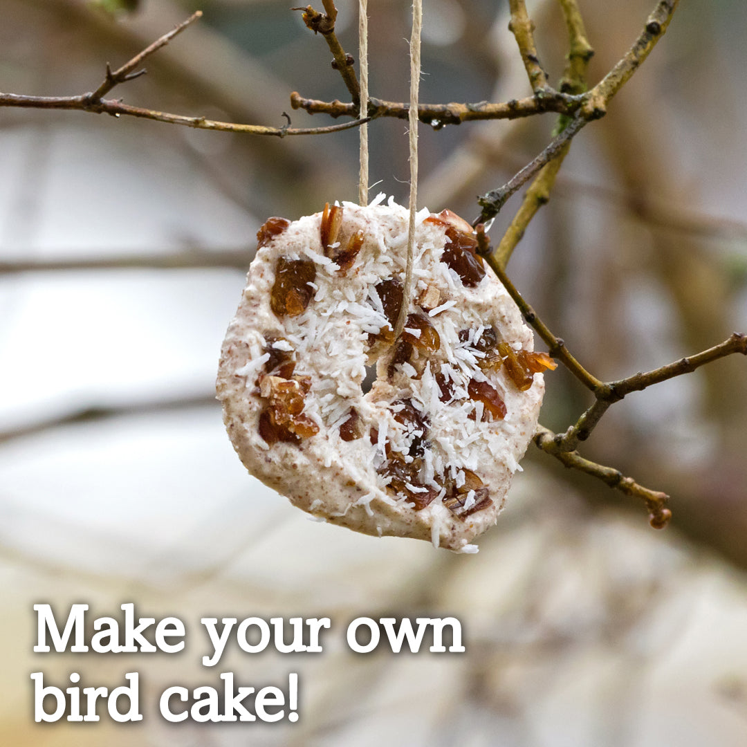 How To Make Your Own Bird Cakes