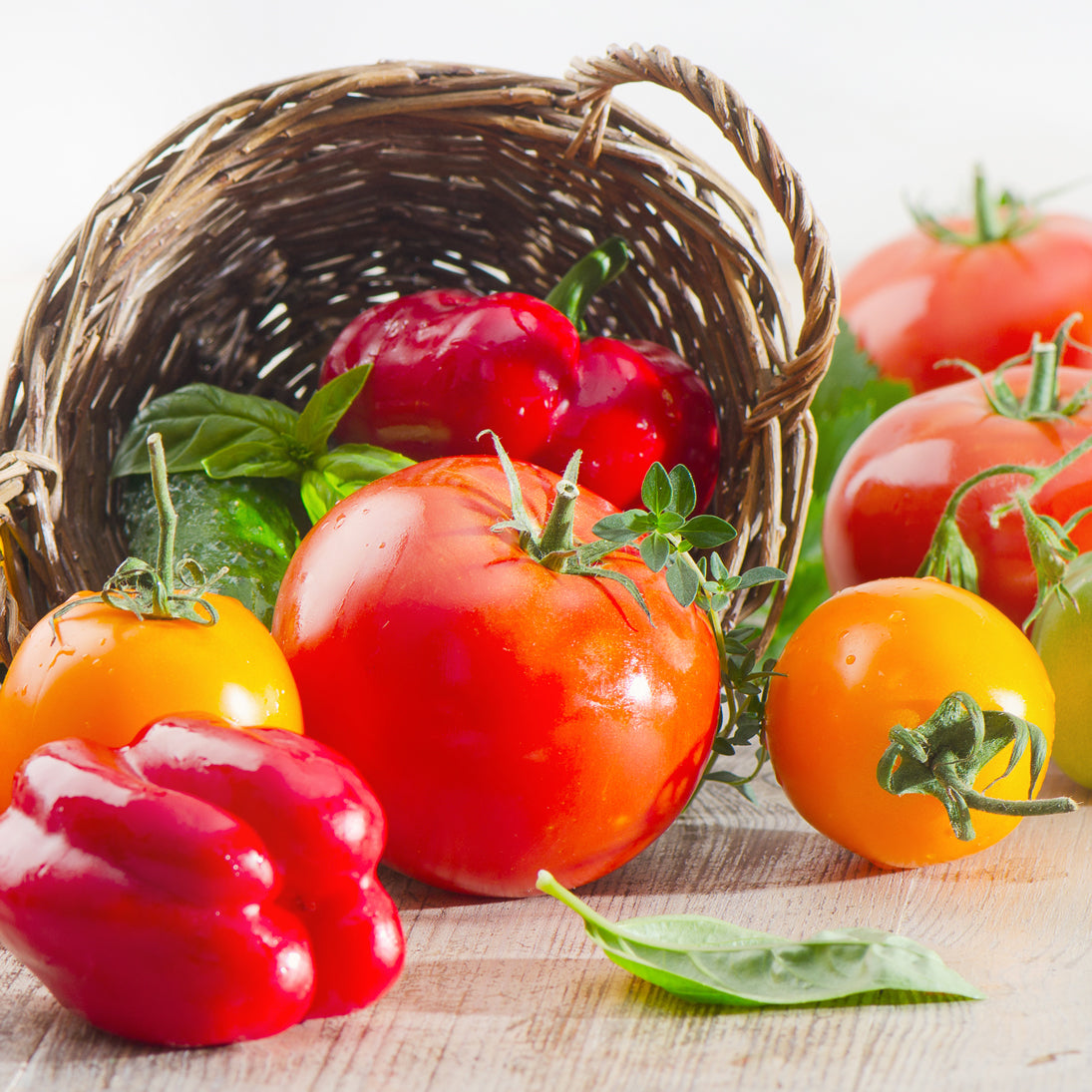 Plant Tomatoes and Peppers