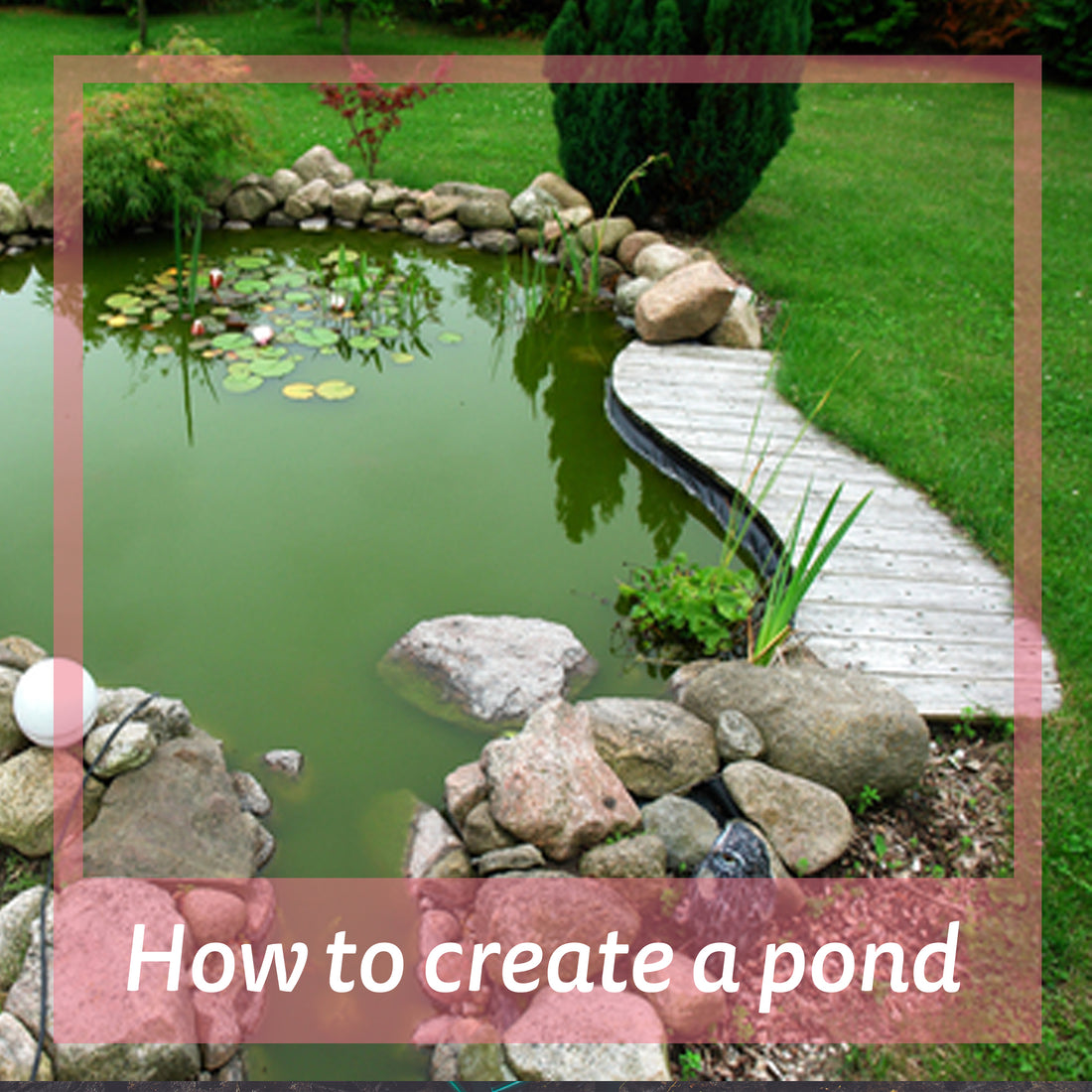 A Guide How To Create A Traditional Garden Pond