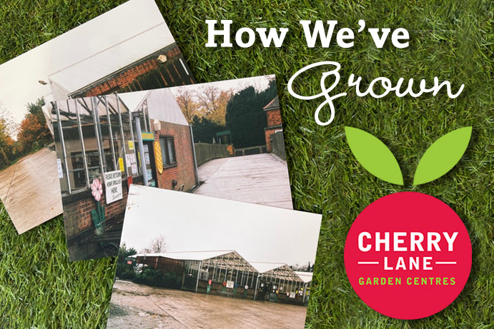 Cherry Lane Garden Centre - How We've Grown