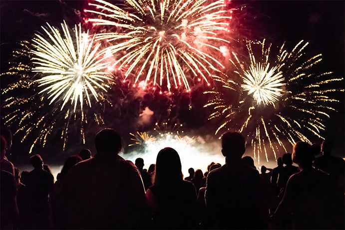 Back of a crowd in shadow watching a fireworks display in the night sky