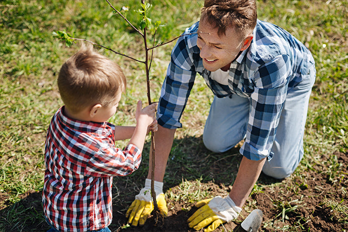 Young child and man planting a bare root plant into a grassy area