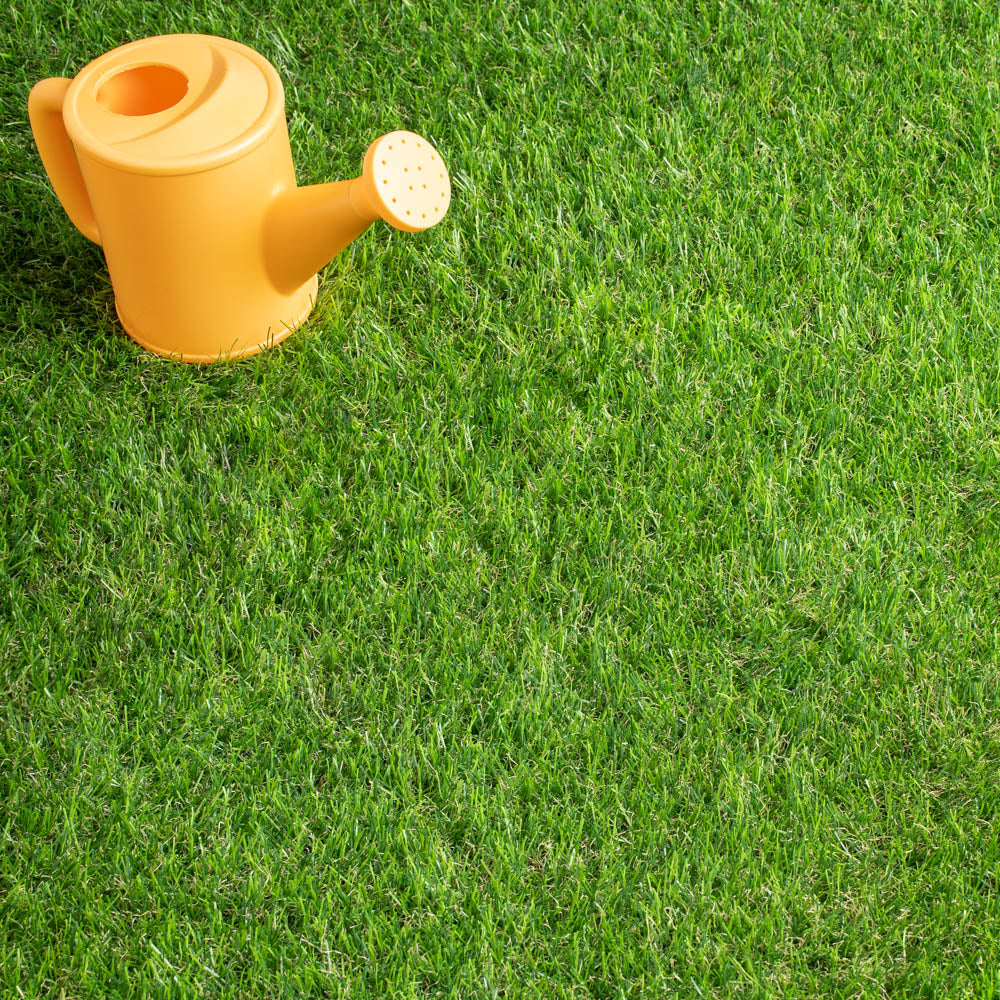 A Guide To Spring Lawn Care