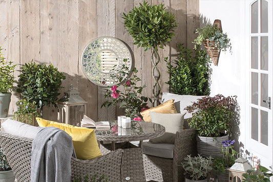 Tall plants, climbing plants and a garden mirror decorating a fence panel behind a rattan bistro set