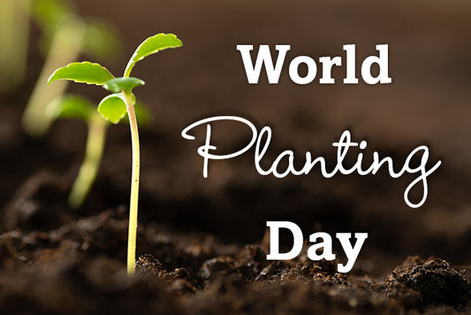 A small seedling emerging from soil with the words "world planting day"