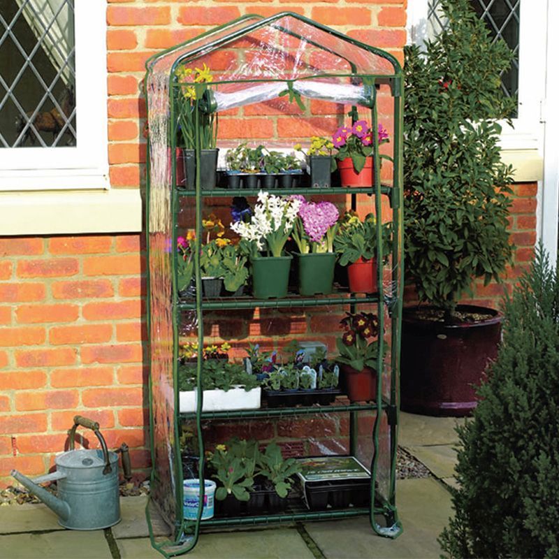 Mini Greenhouse providing controlled environments for nurturing plants and vegetables, surrounded by vibrant greenery.