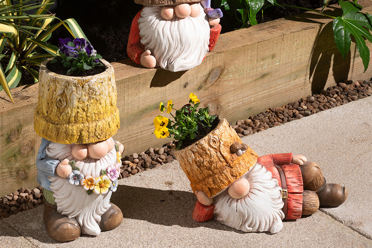 Three garden gnomes, potted and arranged on a patio, with one of them playfully lying down