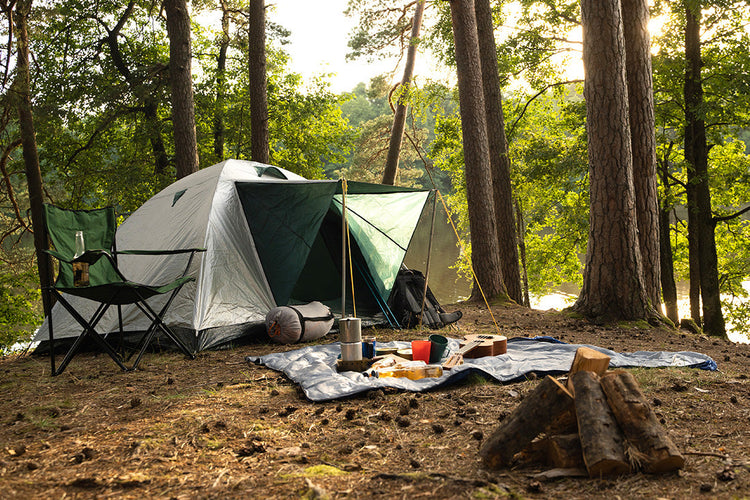 A tent pitched in the woods, surrounded by tall trees and dappled sunlight, offering a serene retreat into nature's embrace