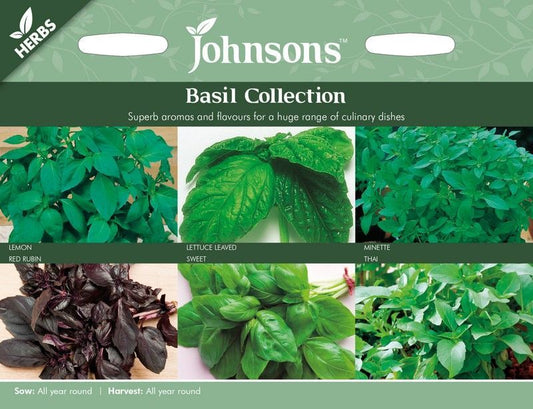 Johnsons Collections Basil