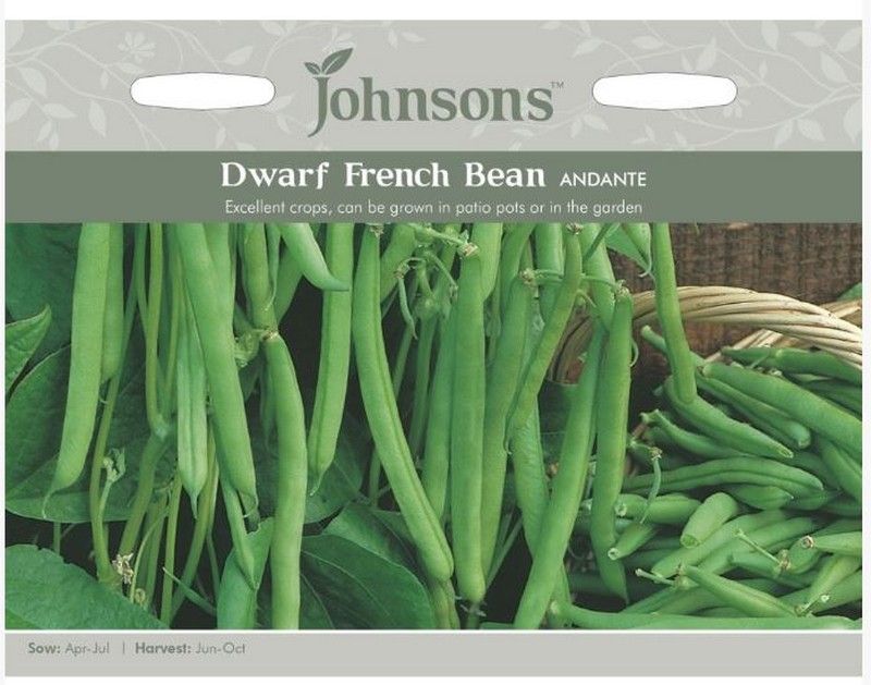 Johnsons Dwarf French Bean Andante Seeds