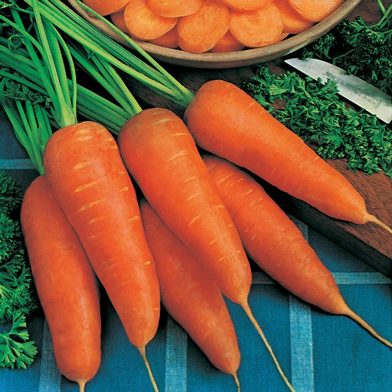 Johnsons Carrot Chantenay Red Cored 2 Seeds