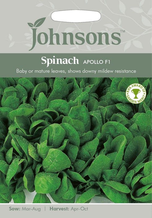 Johnsons Spinach Apollo F1 Seeds