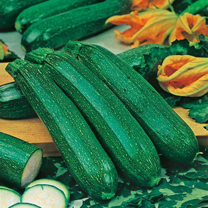 Johnsons Courgette All Green Bush Seeds