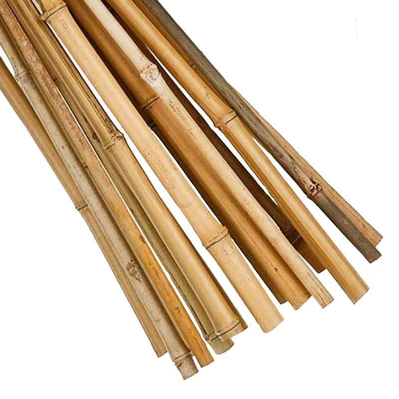 Growing Patch 15 Pack 4 Foot Garden Canes