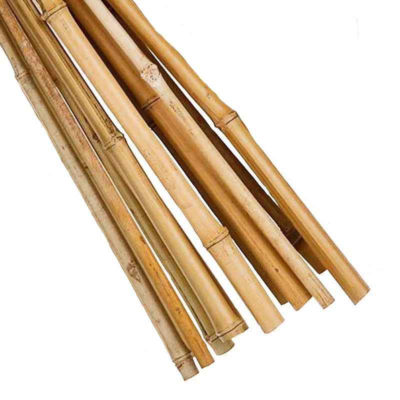 Essentials 10 Pack 6 Foot Garden Canes