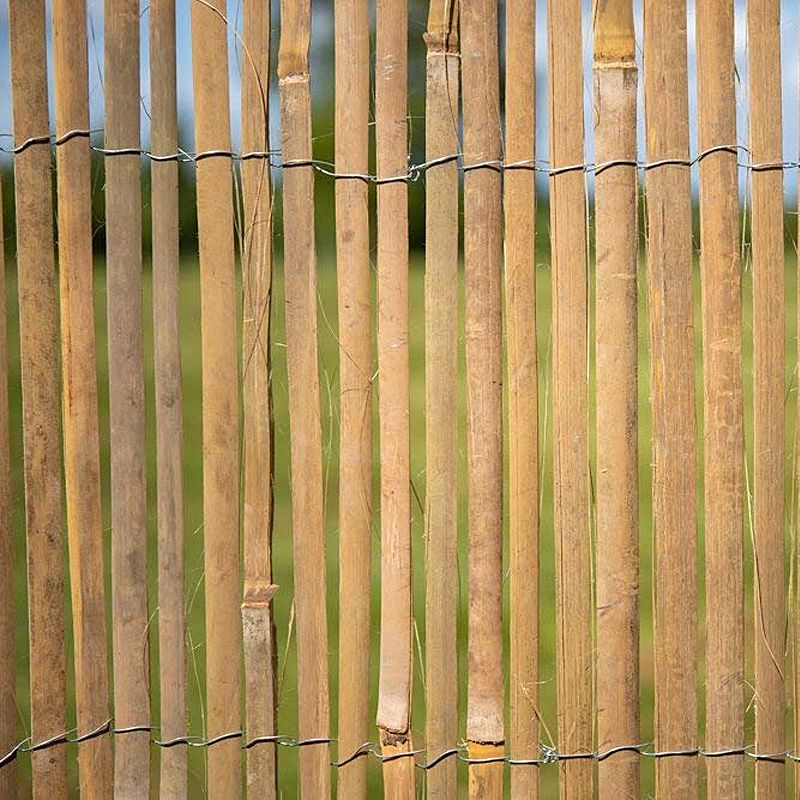 Growing Patch Bamboo Screening Panel 2 x 3m