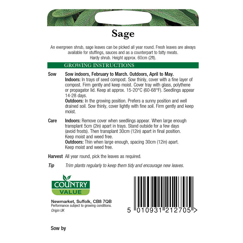 Country Value Sage Seeds