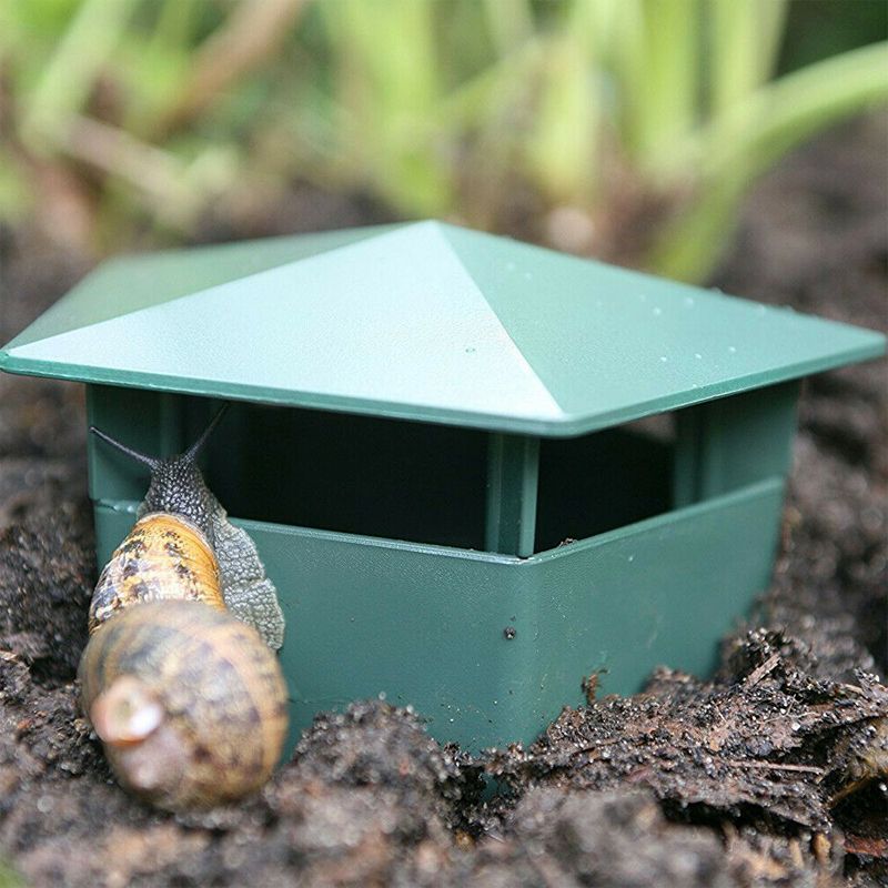 Growing Patch Growing Patch 2 Pack Slug And Snail Traps