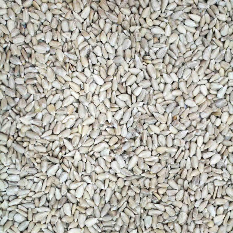 Berry Sunflower Hearts Wild Bird Seed 12.55kg