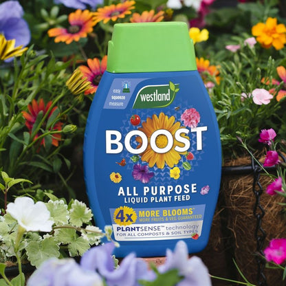 Westland Westland Boost All Purpose Liquid Plant Feed - 1 litre