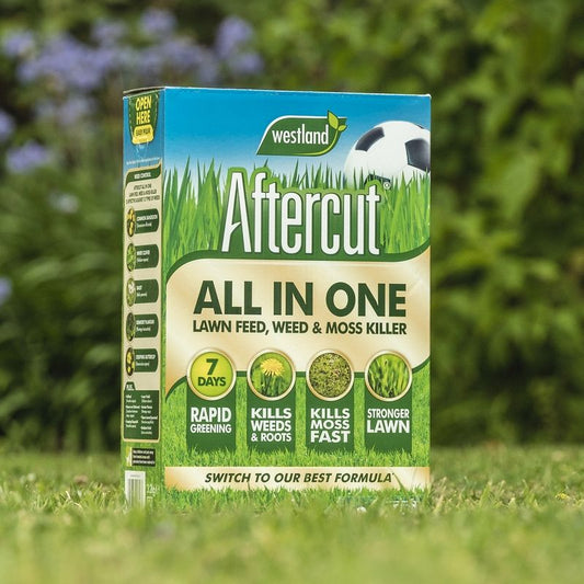 Aftercut All In One Lawn Feed - 80sqm