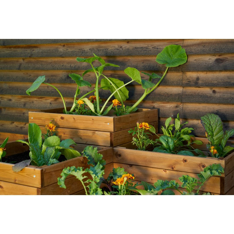 EKJU Four Section Planter - Brown by EKJU