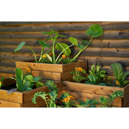 EKJU Four Section Planter - Brown by EKJU