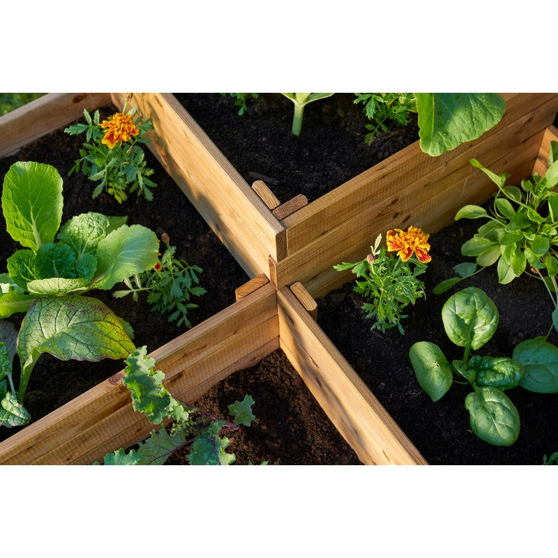 EKJU Four Section Planter - Brown by EKJU