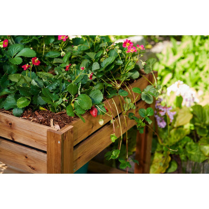 EKJU Four Section Raised Planter - Brown by EKJU