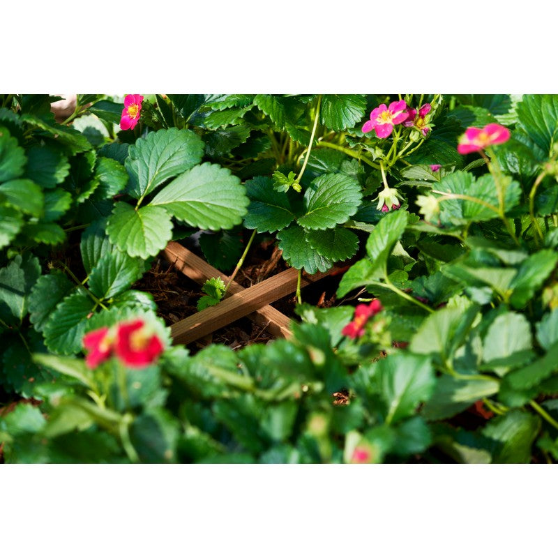 EKJU Four Section Raised Planter - Brown by EKJU