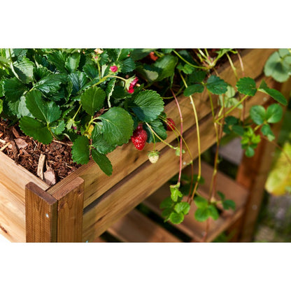 EKJU Four Section Raised Planter - Brown by EKJU