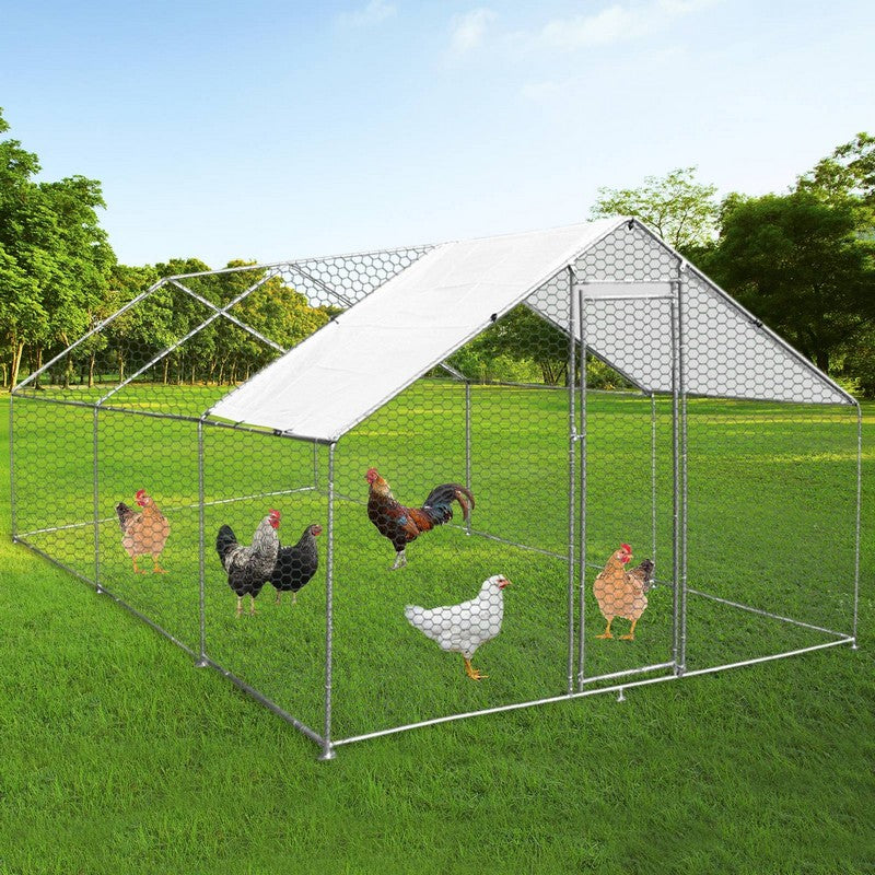 Raven Raven Roam 13' 1" x 19' 8" Apex Chicken Run - Classic