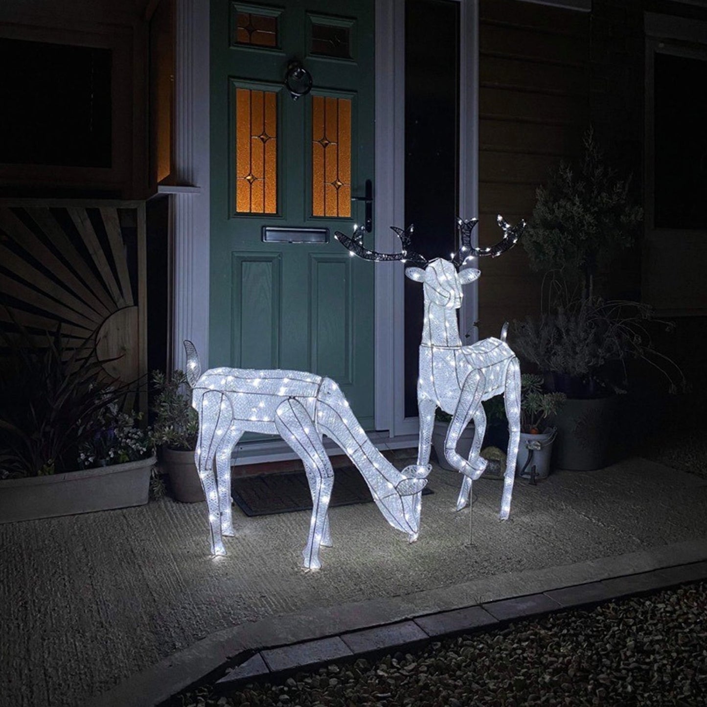 Christmas Large Light Up Stag & Doe Reindeer Set