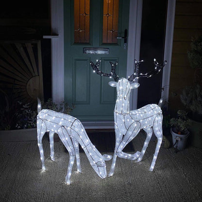 Christmas Large Light Up Stag & Doe Reindeer Set