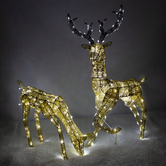 Christmas Light Up Reindeer Gold Stag & Doe Set