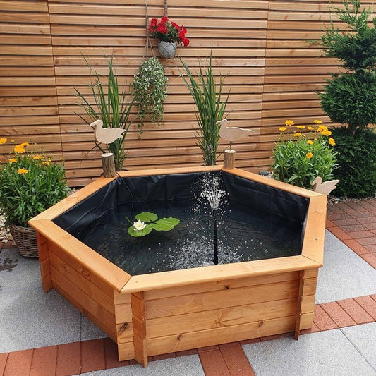 Promex Hexagonal Raised Garden Aquatic Planter by Promex