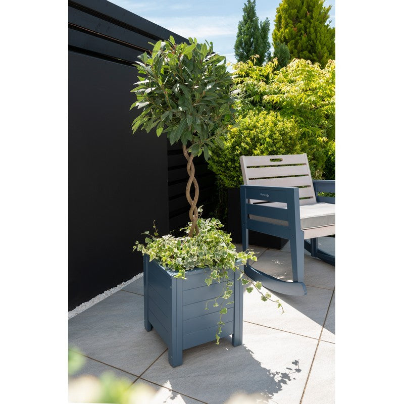 Essentials Galaxy Garden Planter by Florenity Galaxy