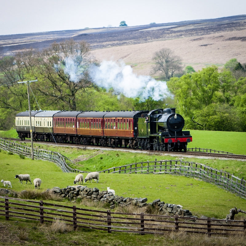 Steam Train and Afternoon Tea - Gift Experience