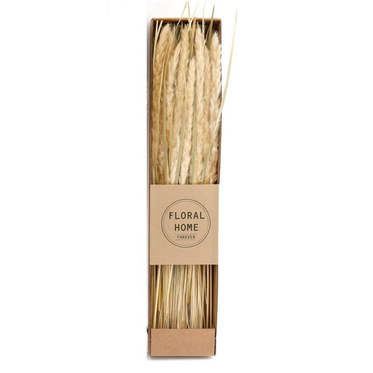 Geko Decorative Dried Pampas Grass 60cm