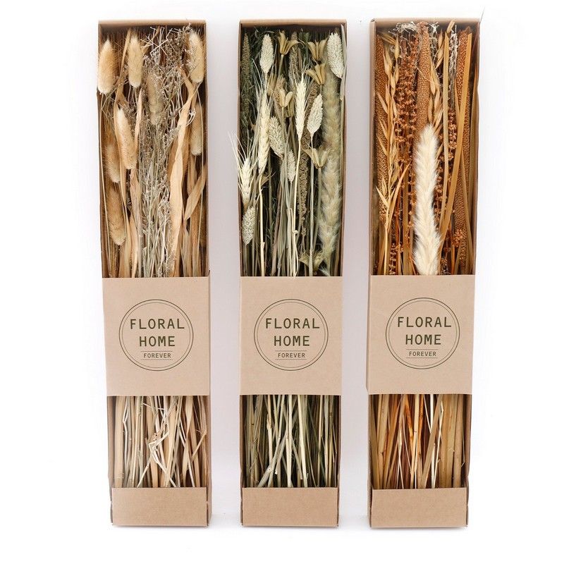 Geko Set of 3 Dried Grasses in Display Box