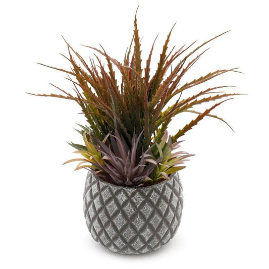 Geko Succulents in Large Lattice Design Grey Pot