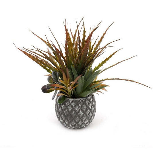 Geko Succulents in Small Lattice Design Grey Pot