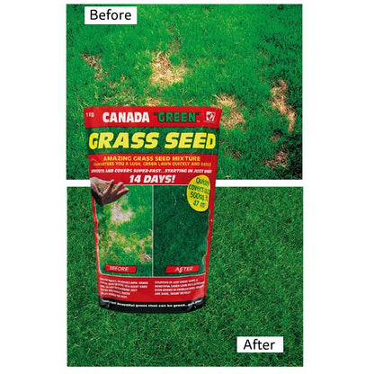 Essentials Canada Green Grass Seed 500g 23 Square Metres Coverage