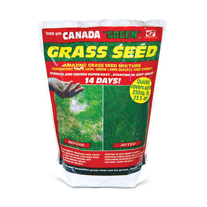 Essentials Canada Green Grass Seed 500g 23 Square Metres Coverage